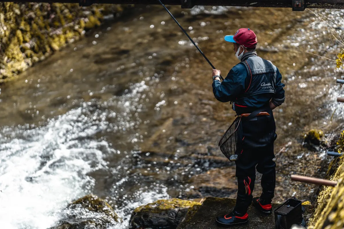 Coarse vs. Game Fishing on the River Tyne: Licences, Seasons and What You Can Catch
